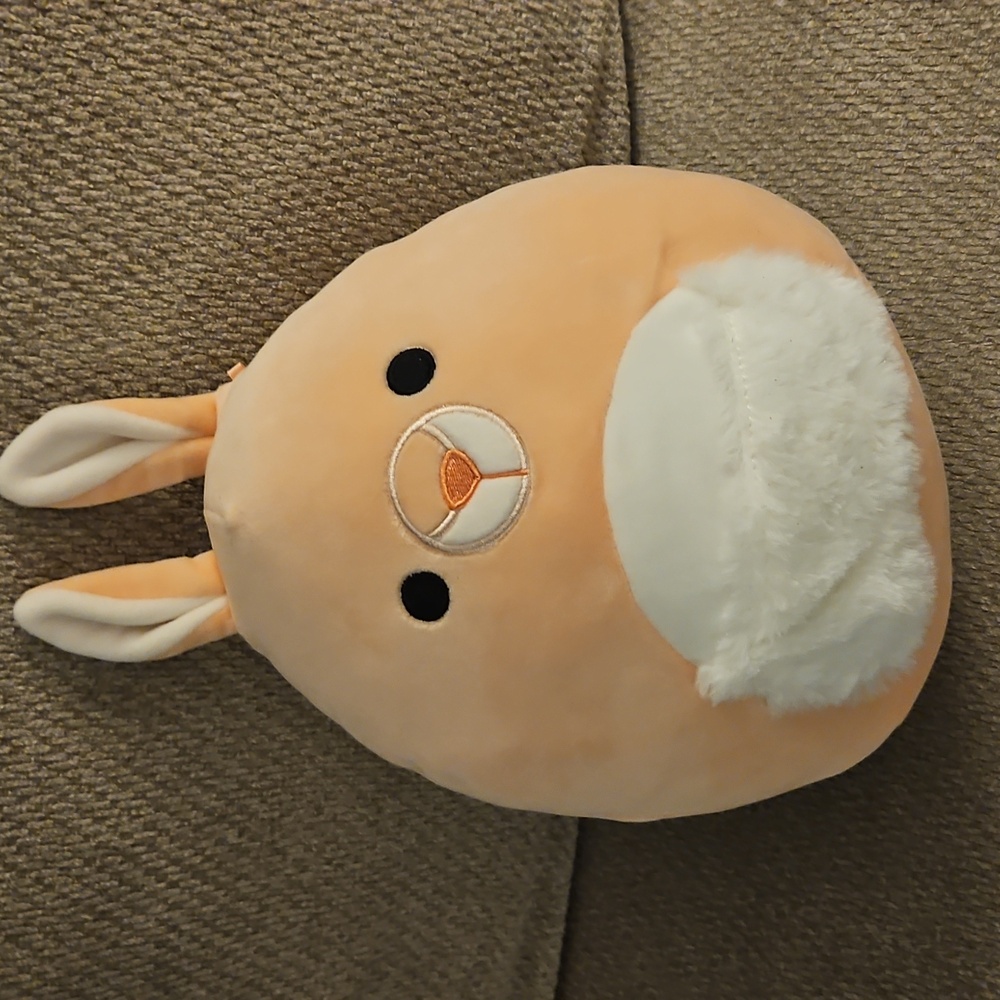 8 Inch Quinn the Kangaroo Squishmallow NWOT
